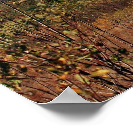 失敗学から ポスター (角)