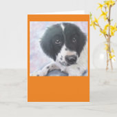 失敗Fannie -英国のスプリンガースパニエル-カード カード (黄色い花)