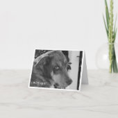 失敗Uカード カード (正面)