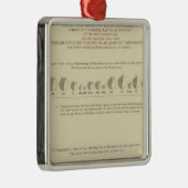 失明、米国統計リトグラフ1870 メタルオーナメント (右)