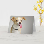 失礼なチワワカード カード (黄色い花)