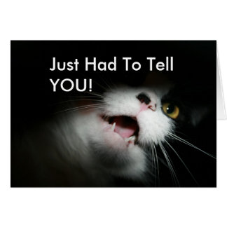 失礼な猫のカスタムおよびことわざ