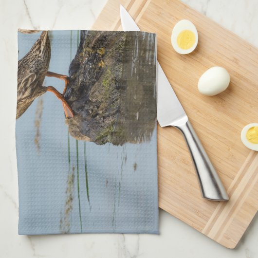 失礼 キッチンタオル (四つ折り)