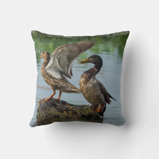 失礼 クッション (裏面)