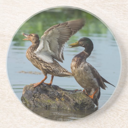 失礼 コースター (正面)