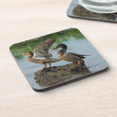 失礼 コースター (左側)