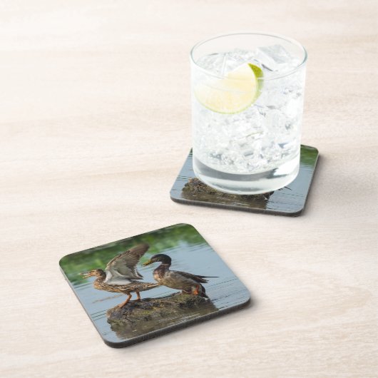 失礼 コースター (右側)