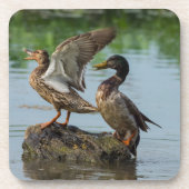 失礼 コースター (正面)