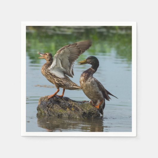 失礼 スタンダードカクテルナプキン (正面)