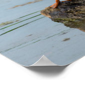 失礼 ポスター (角)