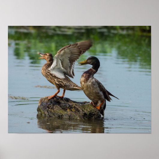 失礼 ポスター (正面)