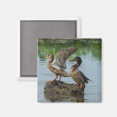 失礼 マグネット (正面/裏面)