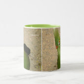 奇妙おもしろいなギニアトゥラコグリーンバード ツートーンマグカップ (中央)