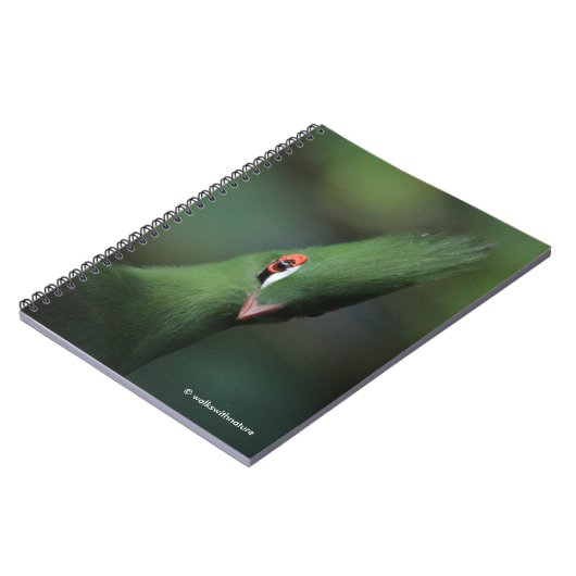 奇妙おもしろいなギニアトゥラコグリーンバード ノートブック (左側)