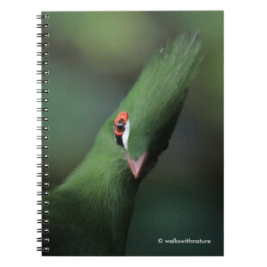 奇妙おもしろいなギニアトゥラコグリーンバード ノートブック (正面)