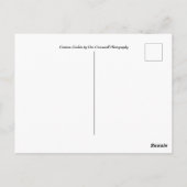 奇妙で愛らしい小槌 ポストカード (裏面)