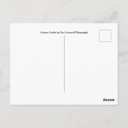 奇妙で愛らしい小槌 ポストカード (裏面)