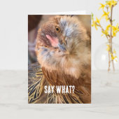 奇妙なおもしろい琥珀の茶色の鶏のクローズアップ写真 カード (黄色い花)