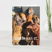 奇妙なおもしろい琥珀の茶色の鶏クローズアップ写真 カード (正面)