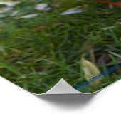 奇妙なアヒルのポスター ポスター (角)