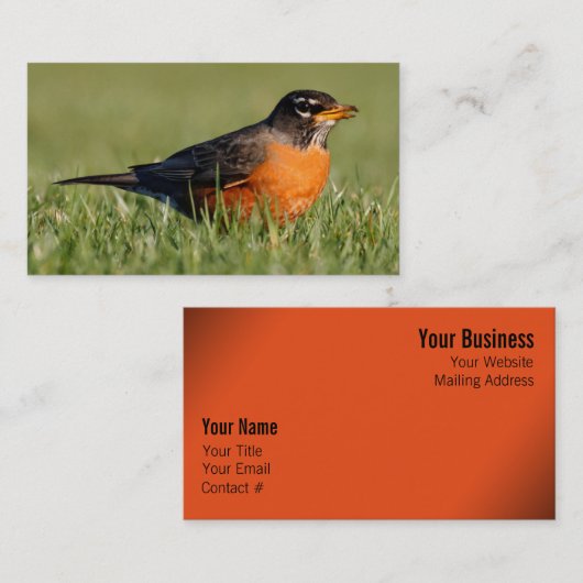 奇妙なアメリカのロビン 名刺 (正面/裏面)