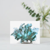 奇妙なエイリアン生活 ポストカード (スタンド正面)