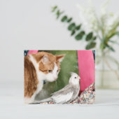 奇妙なカップル ポストカード (スタンド正面)