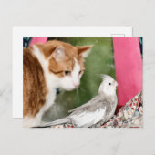 奇妙なカップル ポストカード (正面/裏面)