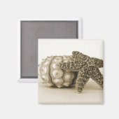 奇妙なカップル マグネット (正面/裏面)