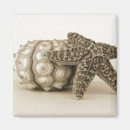 奇妙なカップル マグネット (正面)