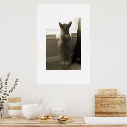 奇妙なコルギ ポスター (キッチン)