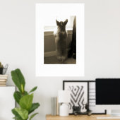 奇妙なコルギ ポスター (ホームオフィス)