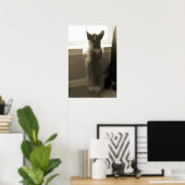 奇妙なコルギ ポスター (ホームオフィス)