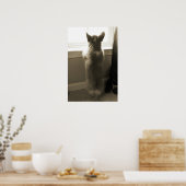 奇妙なコルギ ポスター (キッチン)