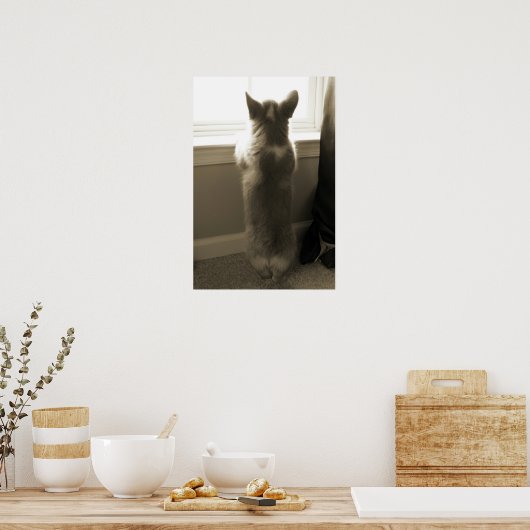 奇妙なコルギ ポスター (キッチン)