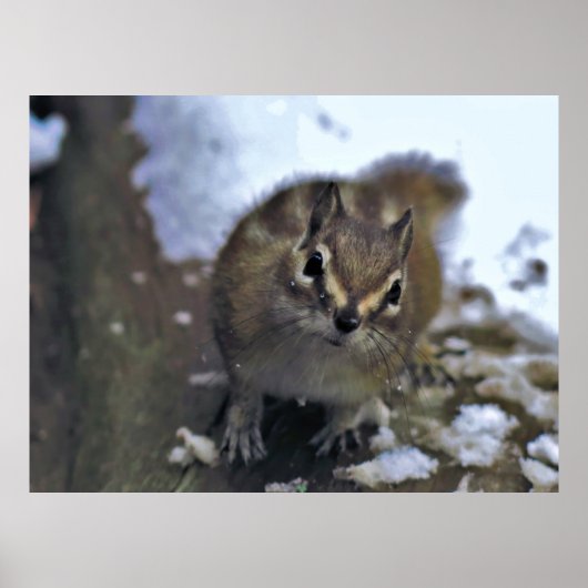 奇妙なチムンク ポスター (正面)