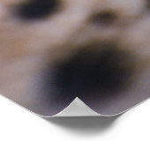 奇妙なチーター ポスター (角)