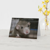 奇妙なネズミ カード (黄色い花)