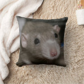 奇妙なネズミ クッション (ブランケット)