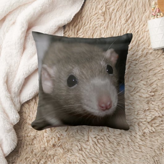 奇妙なネズミ クッション (ブランケット)