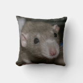 奇妙なネズミ クッション (正面)