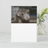 奇妙なネズミ サンキューカード (スタンド正面)