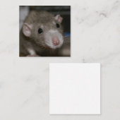 奇妙なネズミ スクエア名刺 (正面/裏面)