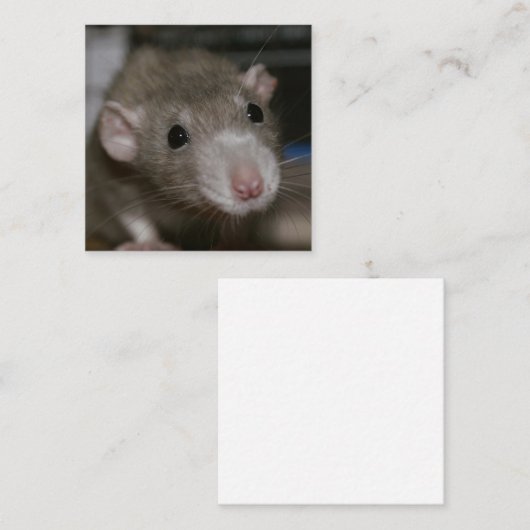 奇妙なネズミ スクエア名刺 (正面/裏面)