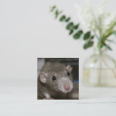 奇妙なネズミ スクエア名刺 (スタンド正面)