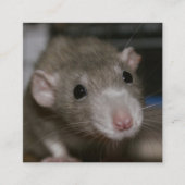 奇妙なネズミ スクエア名刺 (正面)