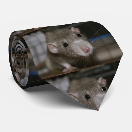 奇妙なネズミ ネクタイ (ロール)