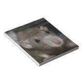 奇妙なネズミ ノートパッド (アングル)