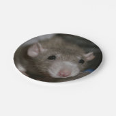 奇妙なネズミ ペーパープレート (アングル)