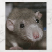 奇妙なネズミ ワインラベル (シングルラベル)